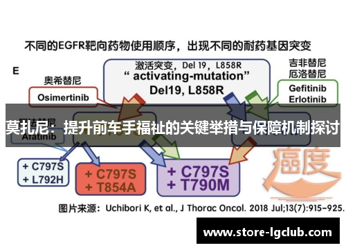 莫扎尼：提升前车手福祉的关键举措与保障机制探讨